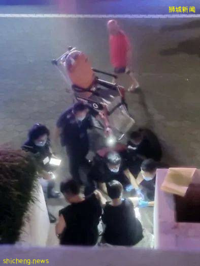 小心!有人在新加坡濱海灣花園徒步,被2米蟒蛇咬傷