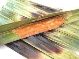 深度新加坡之本土美食初探指南