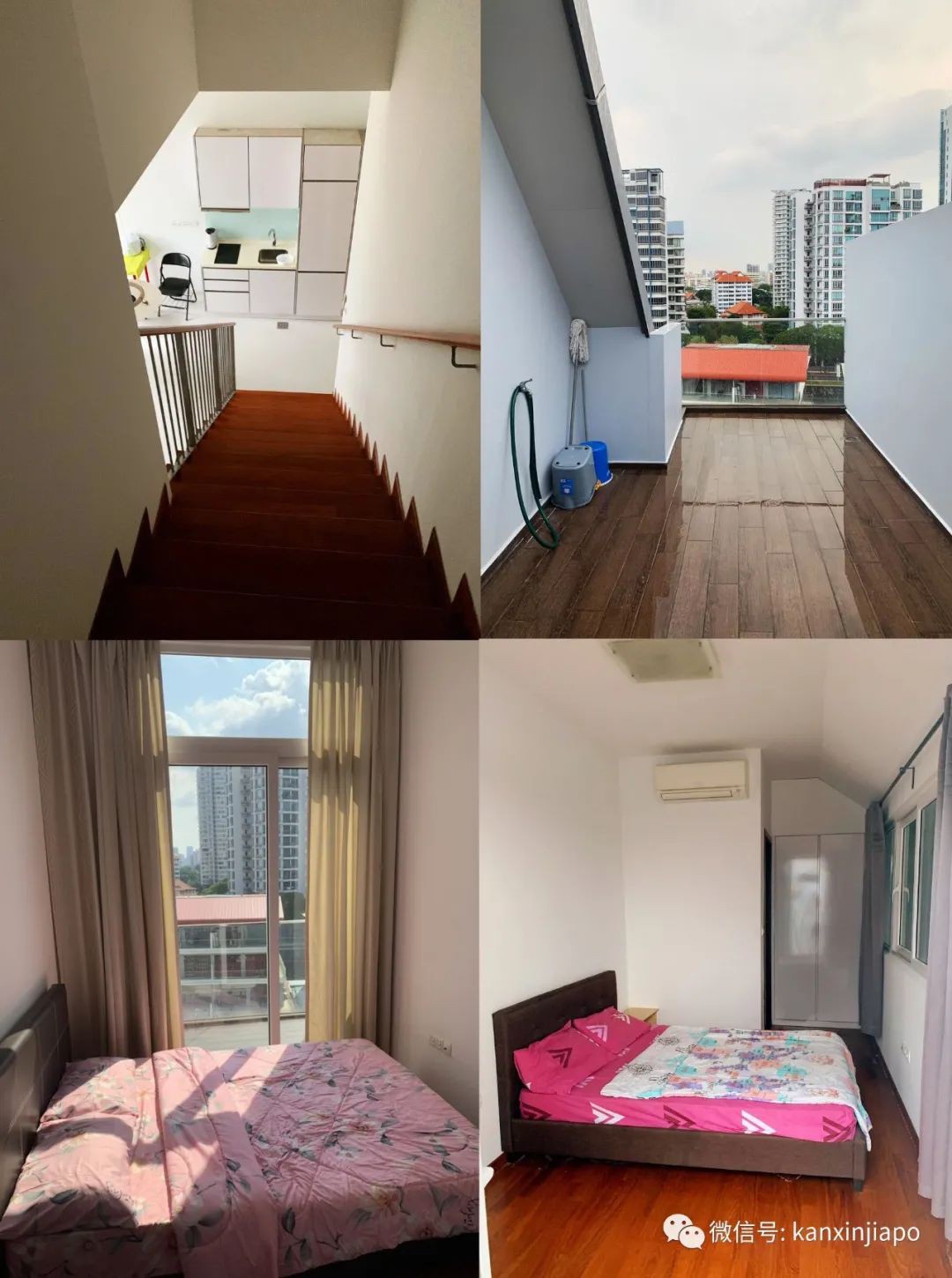 新加坡最大租房群在这!出租求租信息持续更新ing