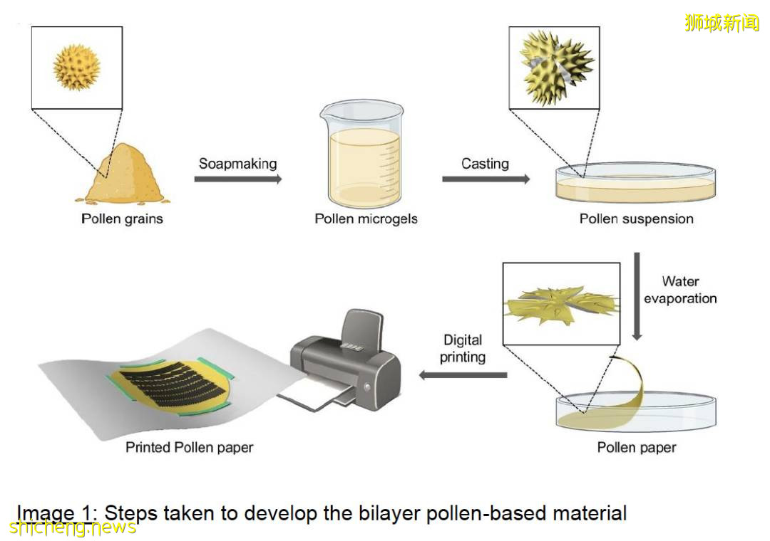 NTU 校长参与!自折叠天然植物材料研发成功