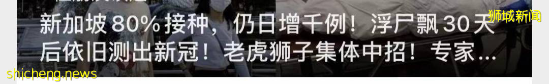 老人從確診到死亡三天!新加坡吹哨人:不能把新冠當流感