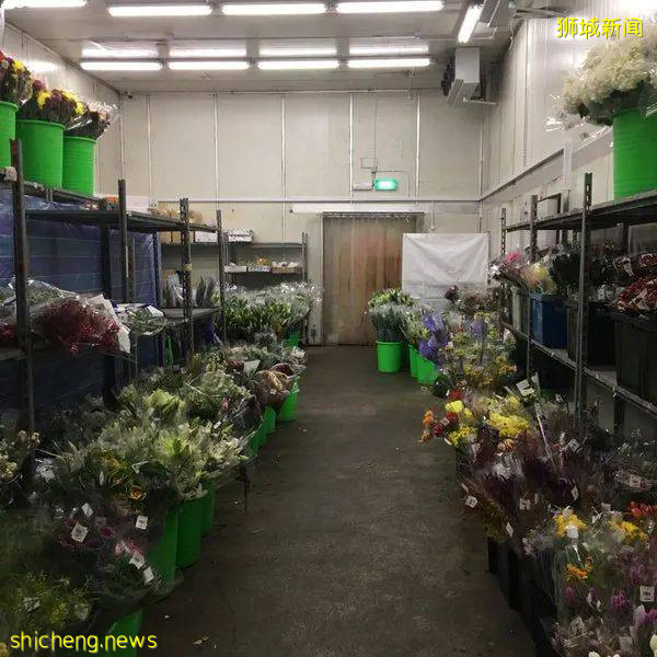 除了超市，原來新加坡還能在這些地方買到鮮花