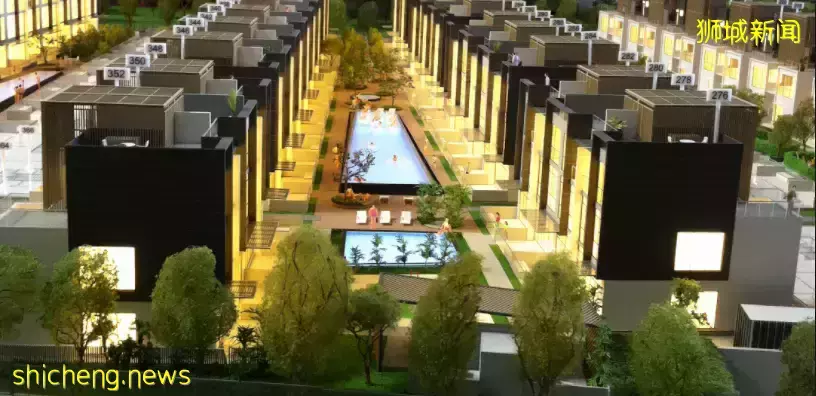 三名中国商人联合起诉!有人花10万新币,也没拿到新加坡PR