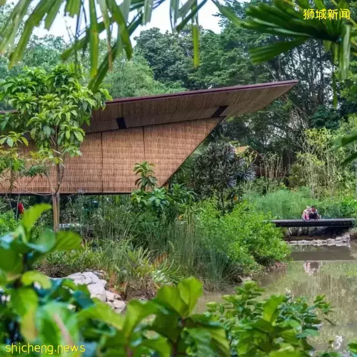 本周日！親子DIY盆栽、打卡越南網紅餐廳、了解新加坡曆史，搶位中