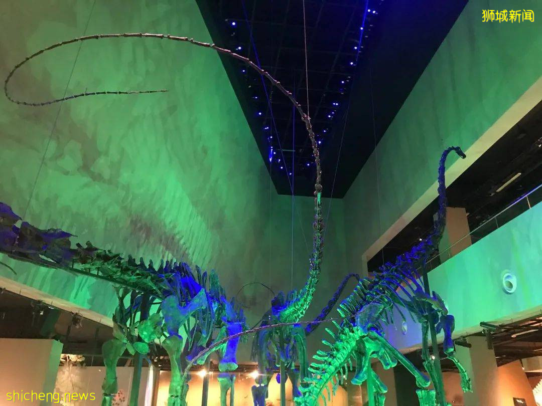 攻略獅城 雲遊博物館,科技與藝術的完美結合