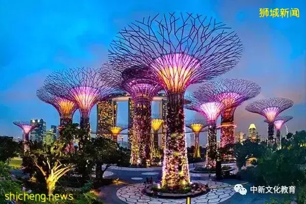 新加坡旅遊，9大網紅打卡地