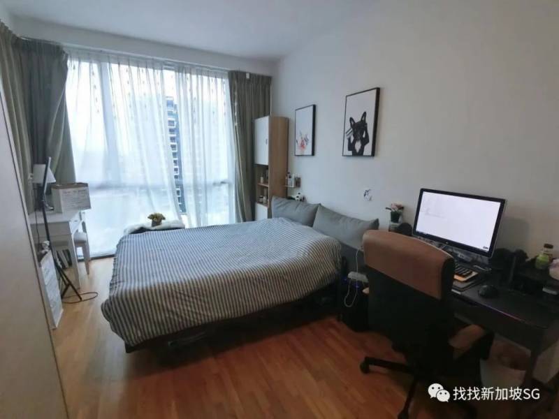 备受留学生宠爱的波动巴西,到底有什么吸引人的地方