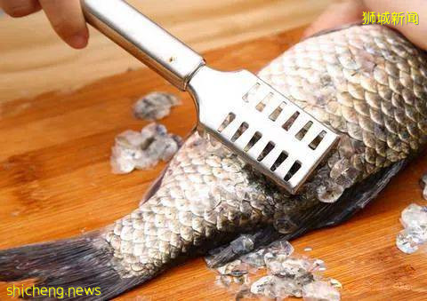 新加坡科学家发现牛蛙皮和鱼鳞能治骨病，原来扔的比吃的值钱