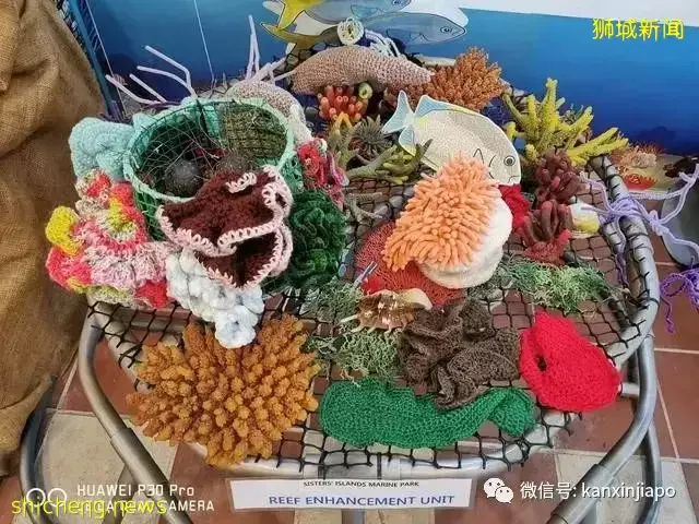 新加坡大解封,又可以到处耍啦!第一站不如先去这3个宝藏小岛