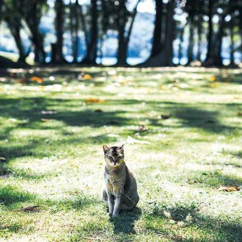 單車美景盡在周邊小島!周末即可出發