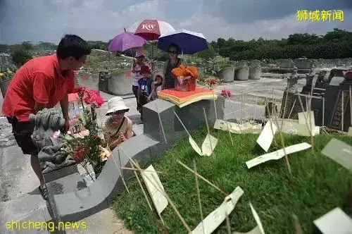 来新加坡11年,清明节我又想起儿时在爷爷坟前吃的火锅