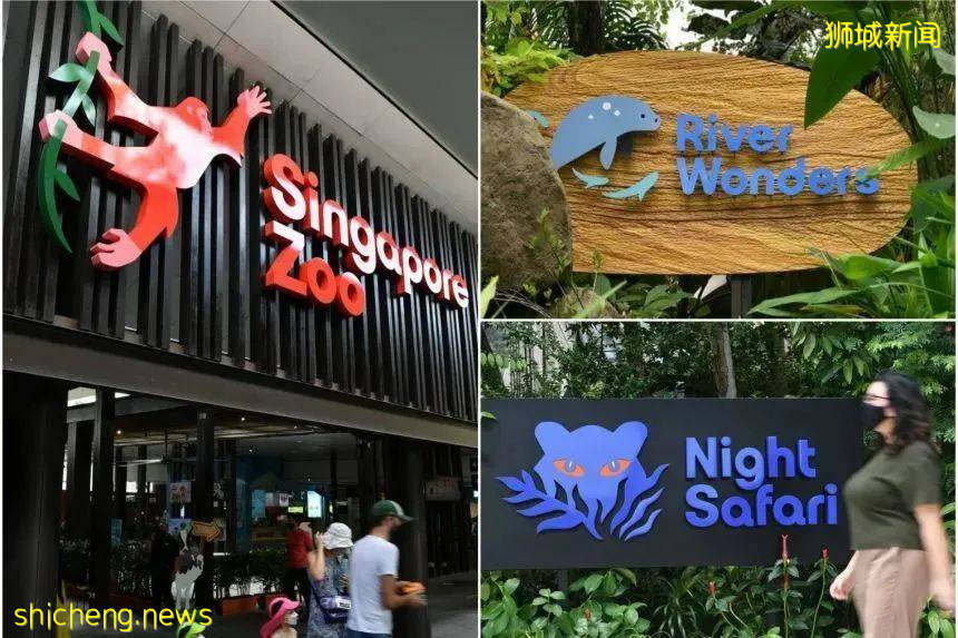 新加坡動物園大！升！級！雨林探險、動物互動，6園合1超期待