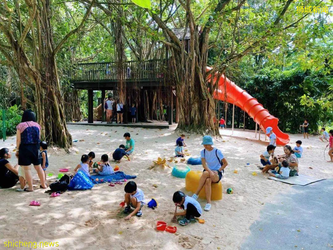 新加坡的娃太太太太幸福了！亞洲最大兒童花園，免~費~玩