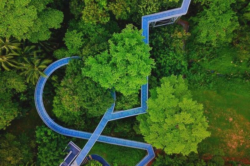 新加坡這個世界第一,不得不服