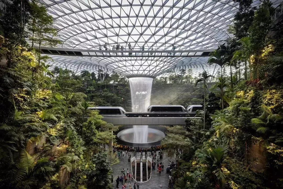 新生攻略 入境新加坡最新流程