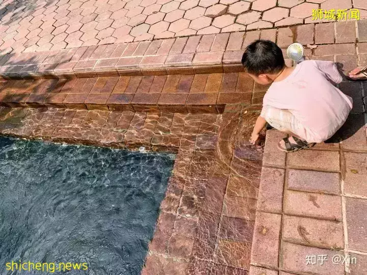 INS最火爆的新加坡公園,竟然還藏著一個超好玩的兒童遊樂場