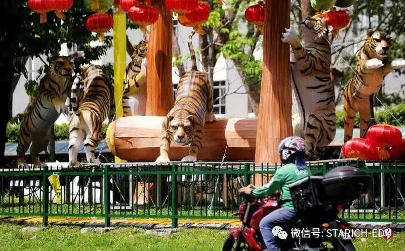 海外侨子怎么过春节?今年新加坡的新春活动很特别