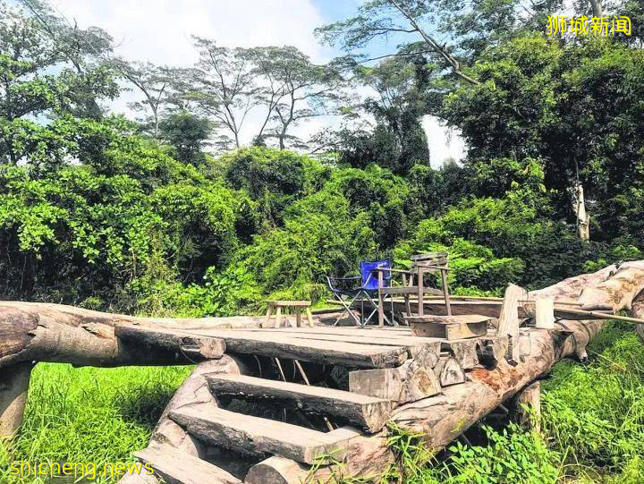 爱丽丝梦境、失乐园、无尾涧——新加坡老组屋区东陵福隐藏了哪些秘境?让老居民带你寻幽探秘