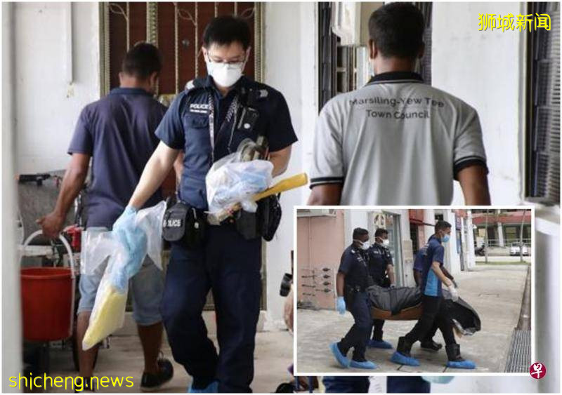 以为异味是垃圾或死老鼠 开门见蛆虫揭邻居变腐尸