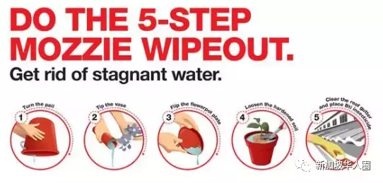 新加坡骨痛热症病例又创新高!或将找过去年的5200多起