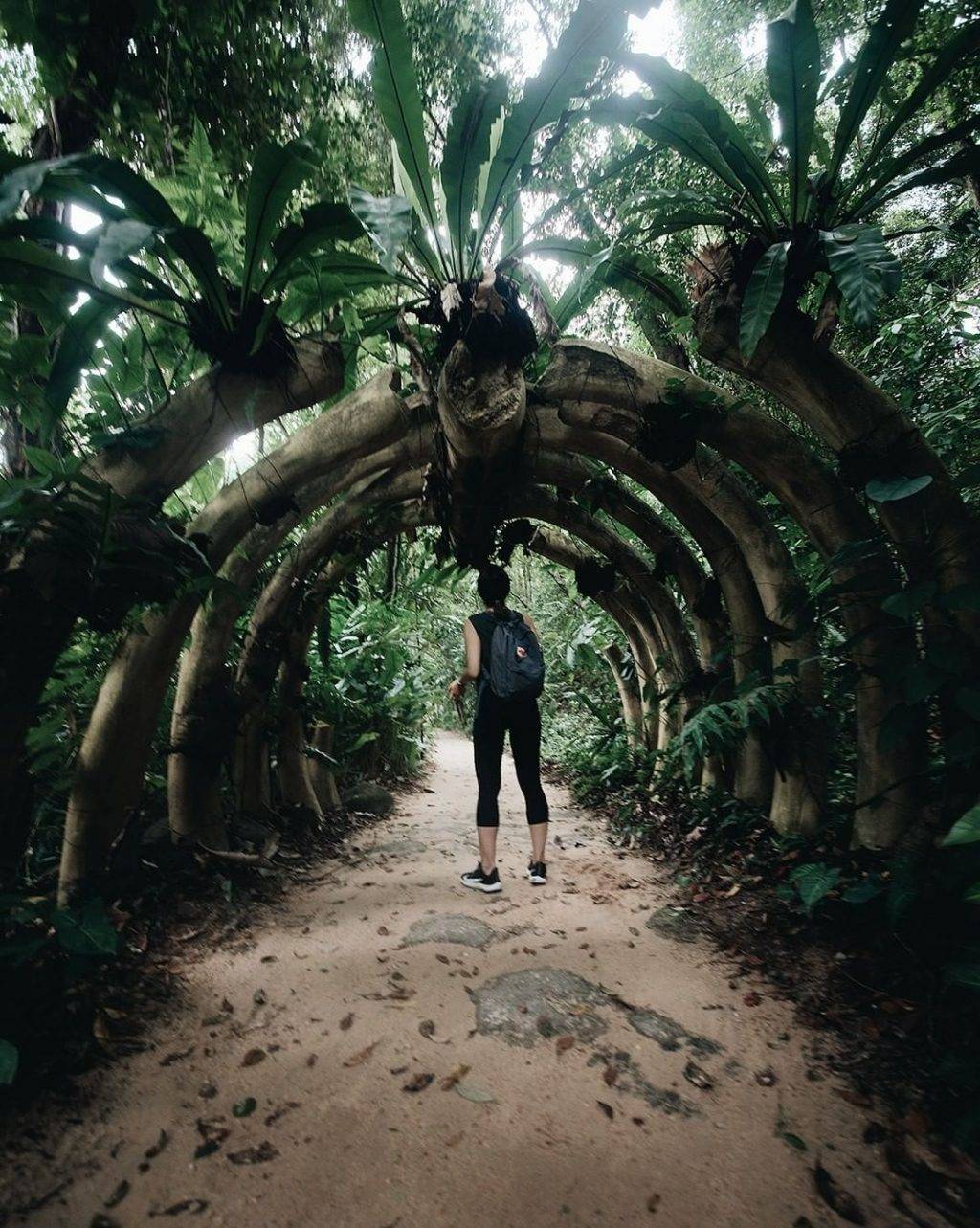 新開辟徒步路線！聖淘沙後花園“Imbiah Trail”沿路亮點🍃 回歸自然，尋覓古迹