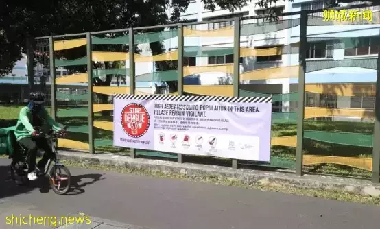 加护病房22天,花费12万新币....新加坡骨痛热症患者激增