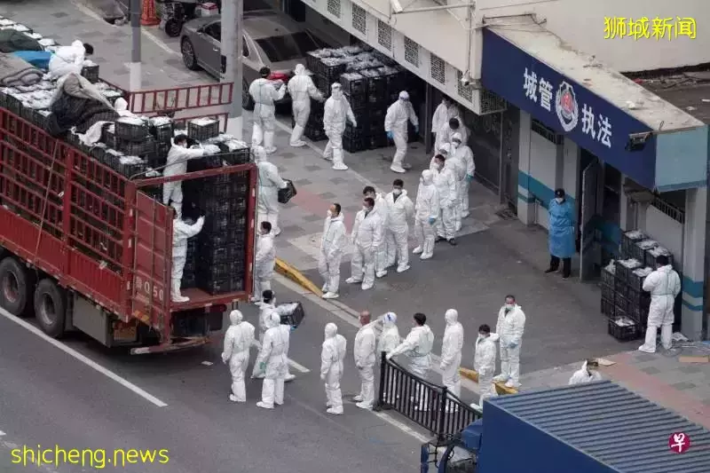 中国欧盟商会:新加坡抗疫模式值得借鉴 可降低冠病对企业和社会秩序的影响