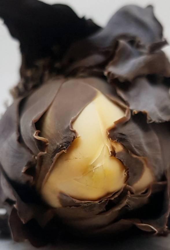 最新！新加坡艺术院校入学条件