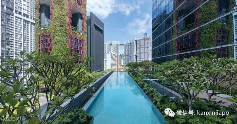 檢測陰性也無法登遊輪,這份職業曝心酸