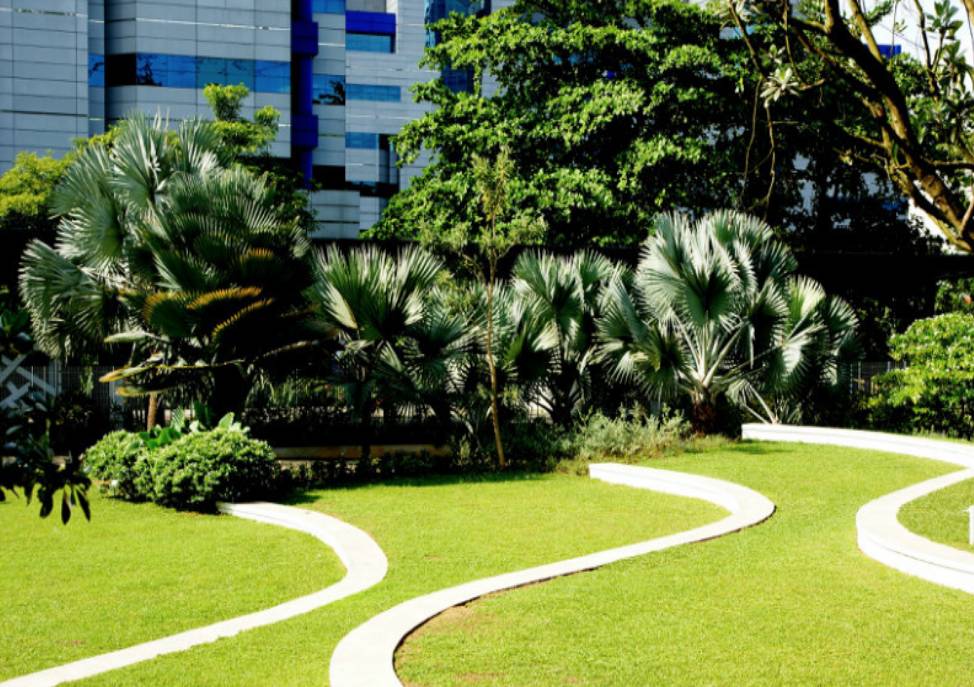 新加坡 适合休闲娱乐的理想之地