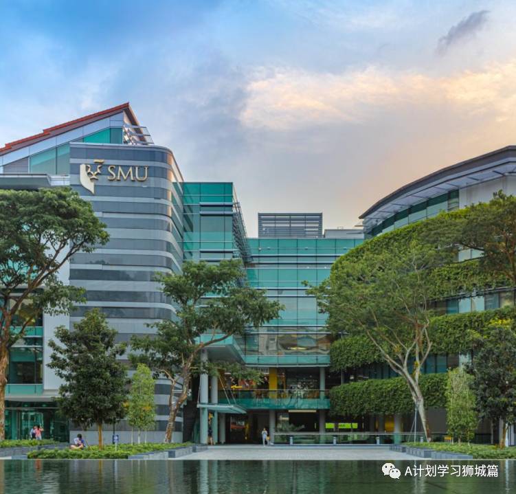 新加坡六所公立大學、工教院和理學院,今年繼續爲應屆畢業生免費培訓