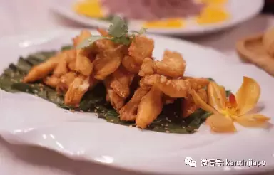 新加坡要开始流行用桶吃鱼了!?太飒了!(免费吃来了~)