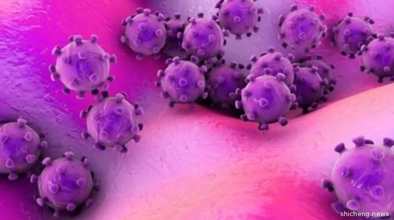 稳住，我们能赢！新加坡发展部长呼吁大家继续“留守”家中