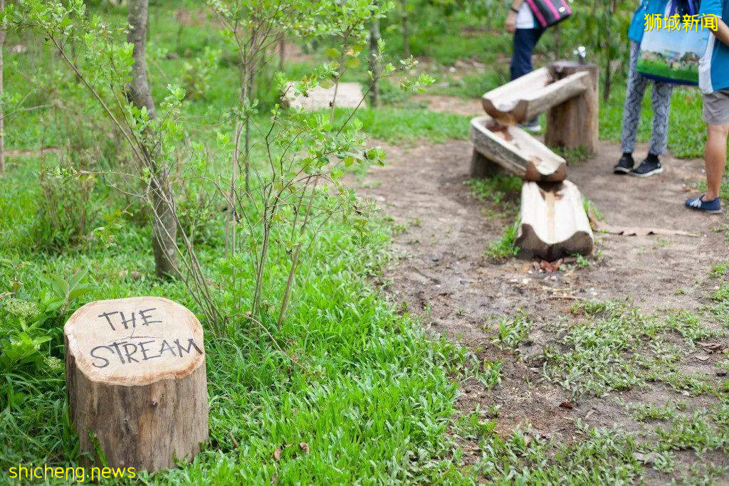 人少景美！新加坡5个自然公园推荐，第一个就心动了