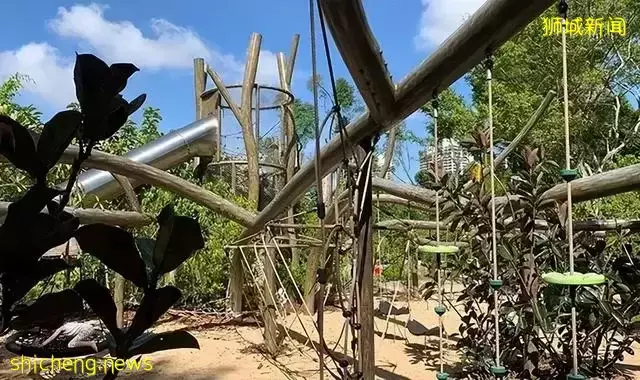 告別“塑料遊樂場”，看新加坡的公園如何诠釋“高大上”