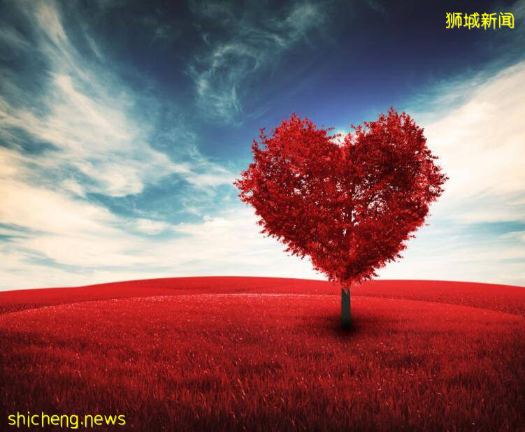 新加坡99岁婆婆捐款五万帮助弱势群体,曾向中国捐建希望小学和图书馆