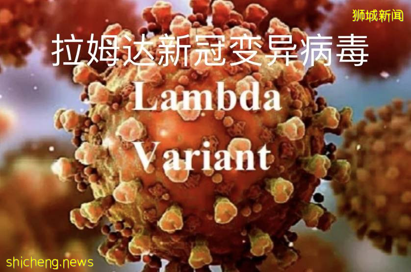 新加坡允許千人聚會!防疫一夜躺平,最大原因竟在這!部長:會有更多感染和死亡