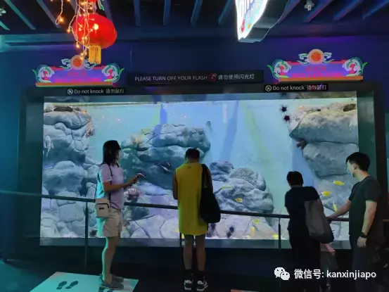 新加坡春节不出门，到这儿就是“出国”啦