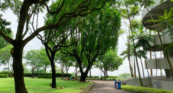 玩在獅城 周末一起去大自然裏野餐——新加坡最適合野餐的十大自然公園