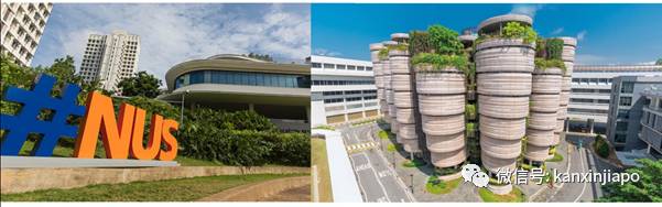 全球大学声誉最新排名:清华亚洲榜眼,北大、NUS、台大等等随后