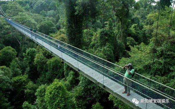 新加坡哪里的房子最值得投资？买这里就对了