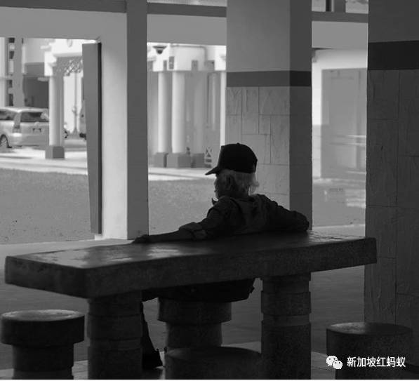 新加坡人镜头下“家的形状”是什么? 答案就在2500多张照片里