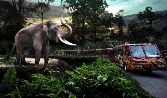 坡島夜生活出行指南！90s旱冰Disco club、室內mini高爾夫bar、高能版密室逃脫等你來玩