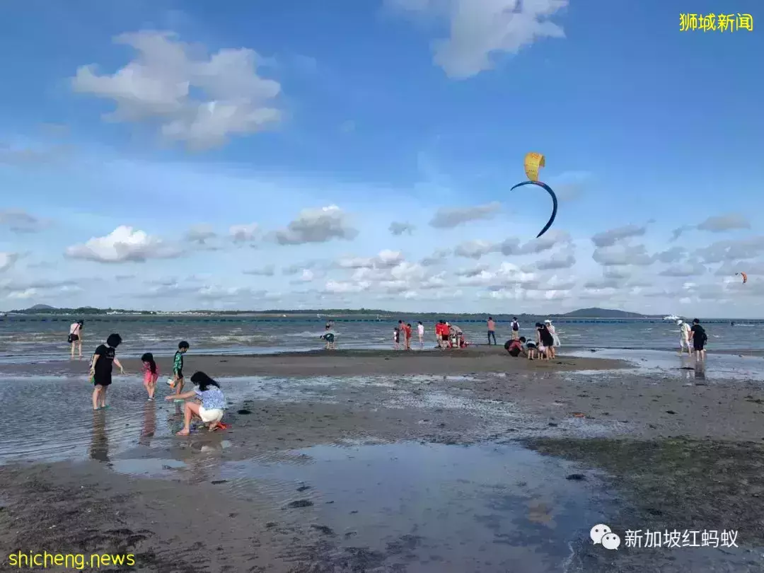 【圖文】這段18公裏沿海路線美爆了! 左看右看都不像在新加坡