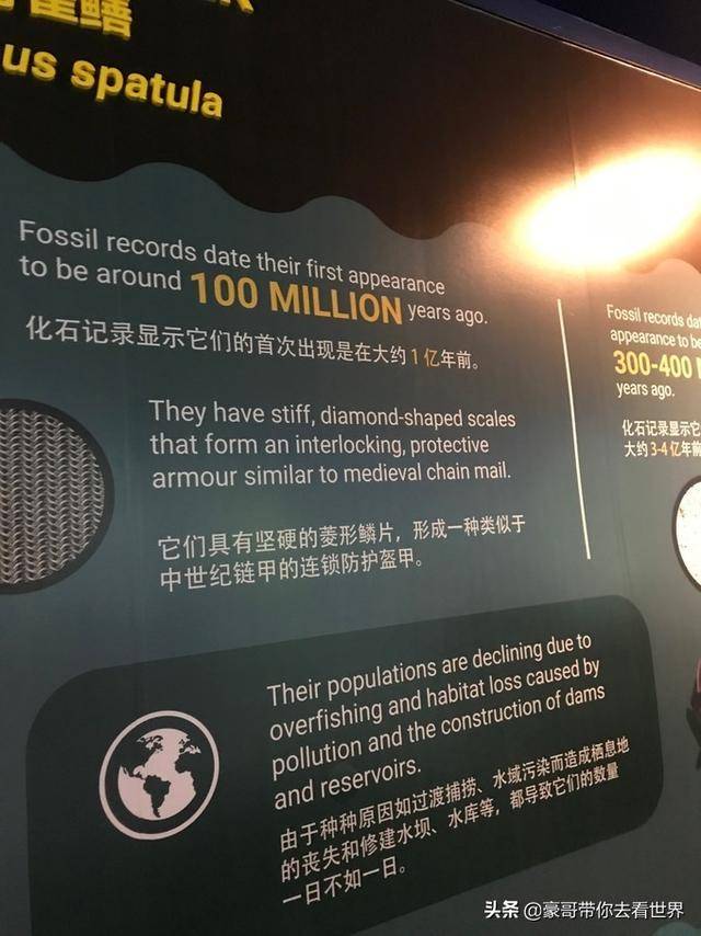 新加坡不枉此行的10大看點（中）分三集介紹