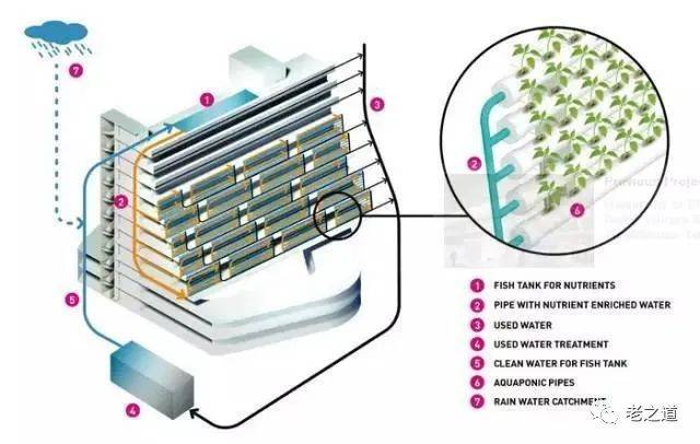 新加坡家庭养老模式的启示