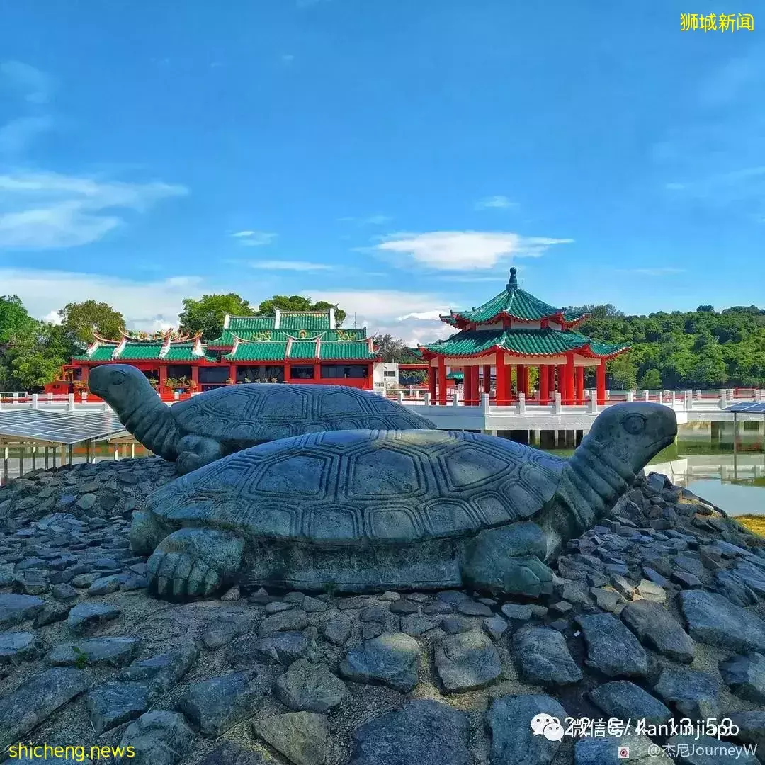 新加坡离岛攻略,半个多小时便能收获美景天堂