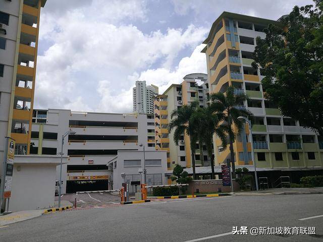 申请新加坡留学一定要考雅思吗