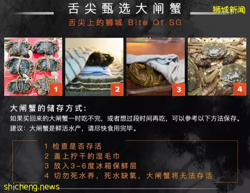 铛铛铛！萬衆期待的蟹中“小鮮肉”，舌尖六月黃大閘蟹登陸獅城啦