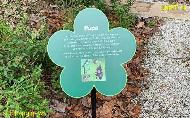 新加坡新開了一個“ 讓心情好起來的神奇兒童公園”，去試試